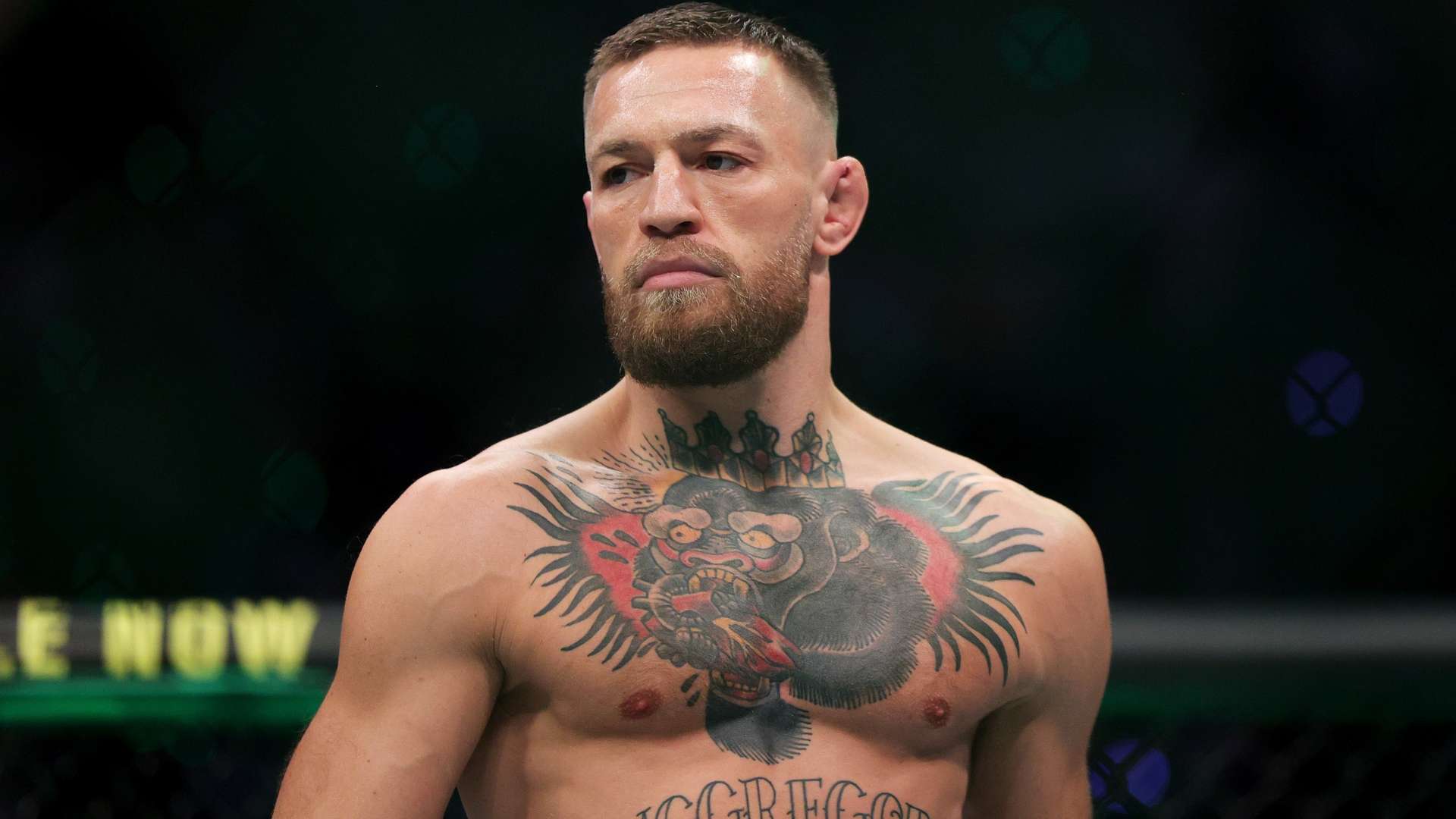 成为行业的 成为行业的