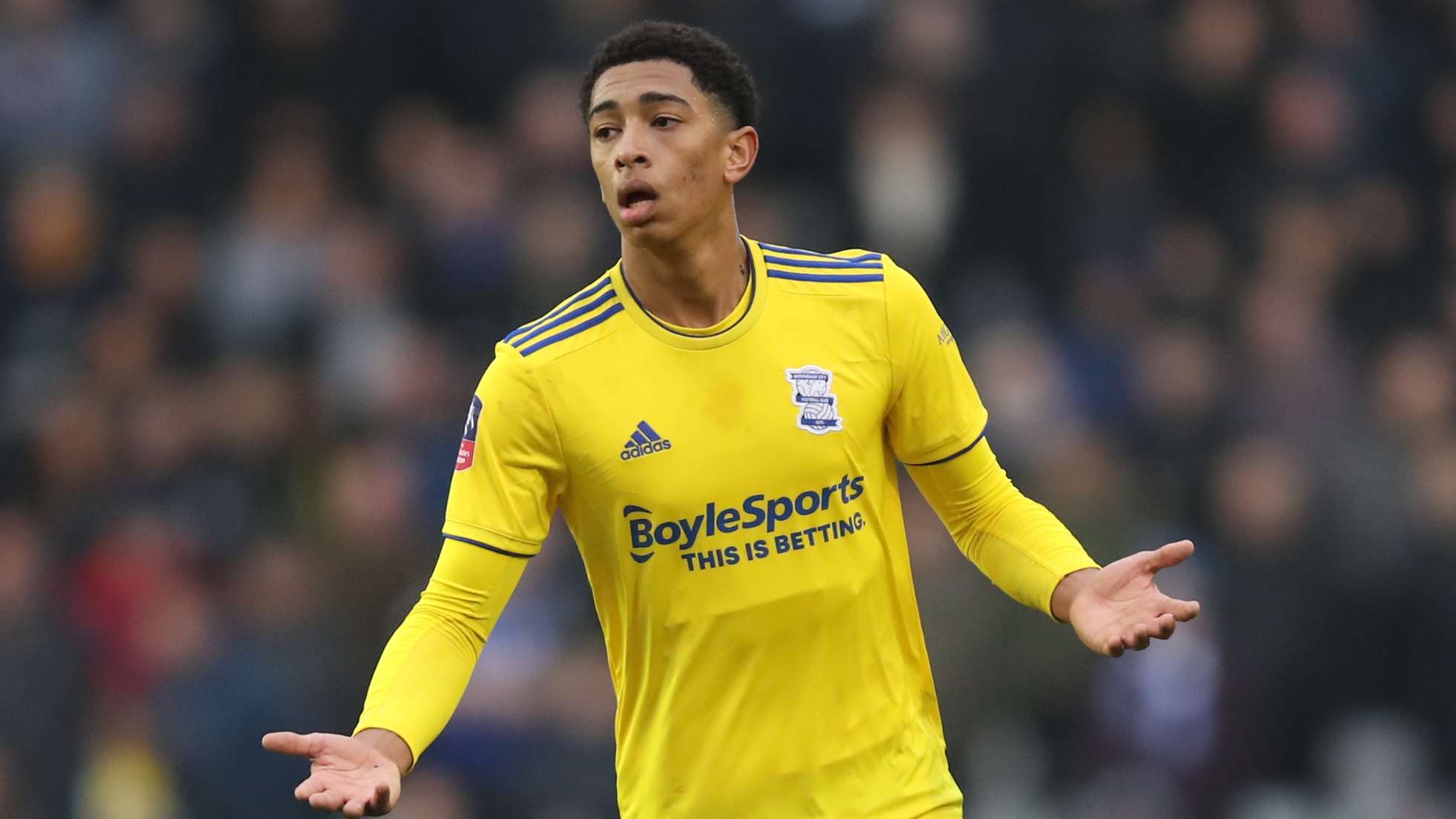 正如黄雅琼 正如黄雅琼